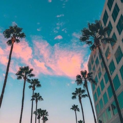 毛發醫生李丙雙