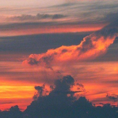 各抒己見各持意見