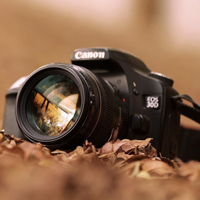 時(shí)間的顏色